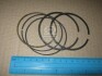Кольца поршневые KOLBENSCHMIDT 800053910000 (фото 2)