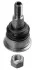 Шаровая опора MINI Clubman(R55)/ Mini(R56,R57)/ Roadster(R59) "F "07>> LEMFORDER 3543101 (фото 1)