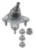Шарова опора Прав (передн) AUDI A1, A1 ALLSTREET, A1 CITY CARVER, A3, A3 ALLSTREET, Q2 CUPRA ATECA, LEON, LEON SPORTSTOURER SEAT ARONA, ATECA, IBIZA V, LEON, LEON SC 1.0-Electric 04.12- LEMFORDER 4348601 (фото 1)