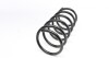 Пружина LESJOFORS 4037225 (фото 4)