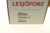 Пружина LESJOFORS 4095077 (фото 7)