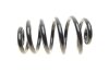 Пружина LESJOFORS 4204258 (фото 3)