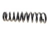Пружина LESJOFORS 4256860 (фото 4)