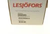 Пружина LESJOFORS 4259251 (фото 7)