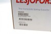 Пружина LESJOFORS 4262025 (фото 7)