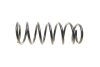 Пружина LESJOFORS 4288911 (фото 2)
