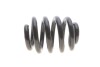 Пружина LESJOFORS 4295060 (фото 9)