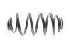 Пружина LESJOFORS 5256858 (фото 5)