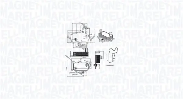 Охолоджувач мастила MAGNETI MARELLI 350300000400 (фото 1)