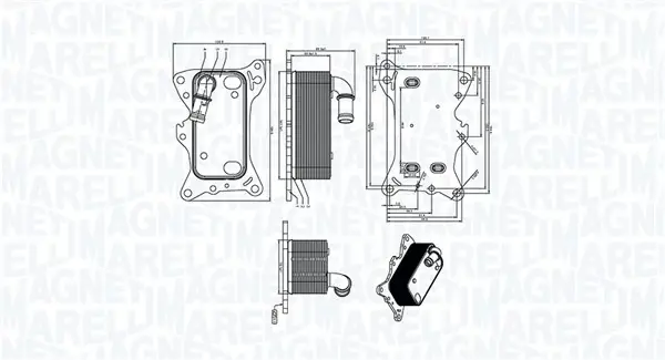 Масляний радіатор MAGNETI MARELLI 350300006300 (фото 1)