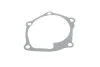 Помпа (водяной насос) MAGNETI MARELLI 352316170643 (фото 8)