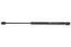 Амортизатор багажника MAGNETI MARELLI 430719024000 (фото 1)