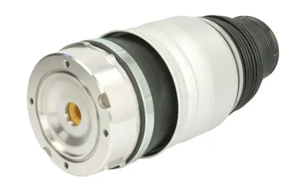 Подушка пневмопідвіски MAGNUM TECHNOLOGY MZA013MT (фото 1)