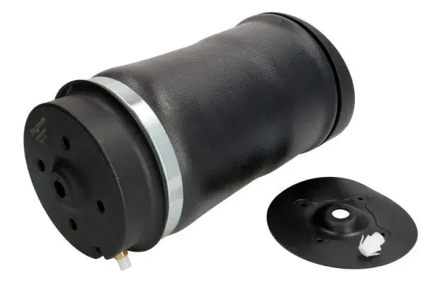 Подушка пневмопідвіски MAGNUM TECHNOLOGY MZM010MT (фото 1)