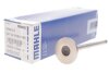 Клапан двигателя MAHLE MAHLE / KNECHT 021 VA 31061 000 (фото 2)
