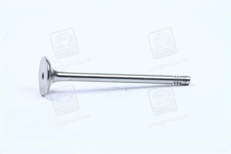 Клапан випуск. Caddy III 1.4 i 04- MAHLE / KNECHT 029 VA 30529 100