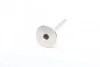 Клапан VAG EX 1,6 16V 00-d6 (вир-во Mahle) MAHLE / KNECHT 029 VA 31097 100 (фото 2)