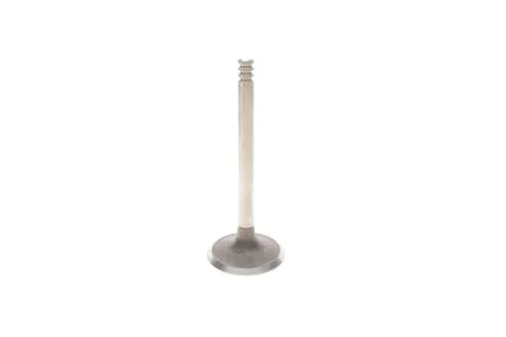 Клапан двигателя MAHLE / KNECHT 029 VE 31102 000