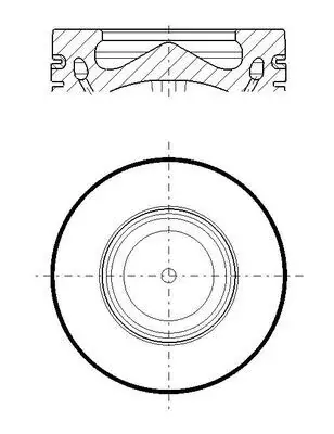 Поршень MAHLE / KNECHT 081 PI 00119 000 (фото 1)