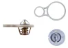 Термостат MAHLE / KNECHT TX25591 (фото 2)