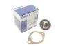 Термостат Behr 1.071.87.305 FORD/NISSAN/LAND ROVER/OPEL/SUBARU MAHLE / KNECHT TX487D (фото 1)