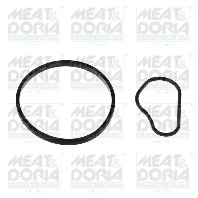 Ущільнення вакуумного насоса MEAT&DORIA 91252 (фото 1)