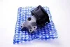 Подушка(опора) двигателя з кронштейном перед.Citroen C4/Peugeot 307/308 2.0HDI 08- Пр. Metalcaucho 04763 (фото 1)