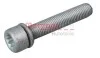 Болт с головкой системы TORX из черного металла METZGER 6250007S (фото 1)