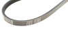 Ремень генератора поликлиновый MEYLE 050 003 0865 (фото 5)