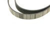 Ремень генератора поликлиновый MEYLE 050 006 2245 (фото 4)