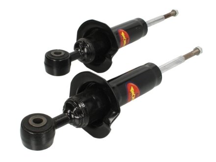 Амортизатор підвіски MONROE D8069 (фото 1)