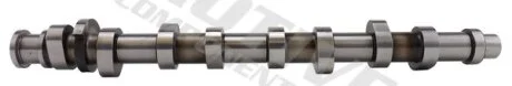 Розподільчий вал AUDI A3, A4 B5, A4 B6, A4 B7 SEAT ALTEA, ALTEA XL, EXEO, EXEO ST, LEON, TOLEDO III SKODA OCTAVIA I, OCTAVIA II VW BORA, BORA I, CADDY III 1.6/1.6ALK/1.6LPG 06.00-05.15 MOTIVE T2184