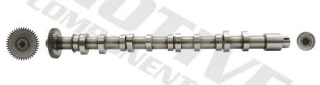 Розподільний вал VW Caddy III/IV/ T5/T6/ Crafter 30-50 2.0 TDI 10- (сторона випуску) MOTIVE T2621
