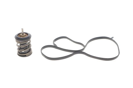 Термостат MOTORAD 973-97K