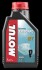 Масло для 2-тактных двигателей MOTUL 102788 (фото 1)