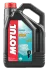 Олива для 4-тактних двигунів MOTUL 106447 (фото 1)