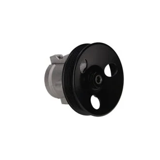 Насос гідропідсилювача Chevrolet Aveo/Kalos 1.4/1.5 03- MSG CR019