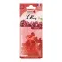 Ароматизатор мішечок X bag 20 гр Cherry Nowax NOWAX NX07555 (фото 1)