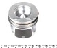 Поршень NPR 130 038 0014 21 (фото 3)