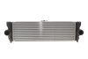 Радіатор інтеркулера NRF 309160 (фото 1)