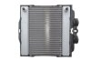 Радіатор охолодження NRF 550288 (фото 1)