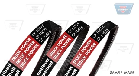 Клиновий ремінь компресора OPTIBELT CP10543