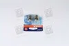 ЛАМПА R10W 12V 10W BA15s BLI STANDARD - заміна на 5008-2BL OSRAM 5008-02B (фото 3)