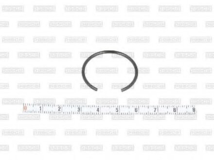 Фото 1 - запобіжне кільце PASCAL CIRG1F04PC Запобіжне кільце PASCAL CIRG1F04PC (фото 1)