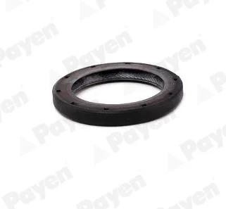 Сальник резинометаллический Payen NA5507
