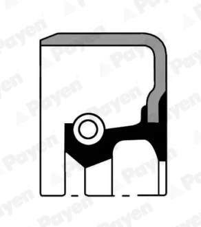 Сальник гумометалевий Payen NJ562