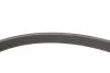 Комплект ремня генератора Citroen/Peugeot/Opel (09-) 2.0 BlueHDi Peugeot/Citroen 1687977080 (фото 9)