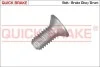 Болты крепления тормозов. дисков QUICK BRAKE 11671 (фото 2)
