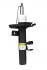 Ford C-Max II, Focus III, Grand C-Max 10- (с плоской чашкой-тип) Bilstein) (RAISO RS256379 (фото 2)