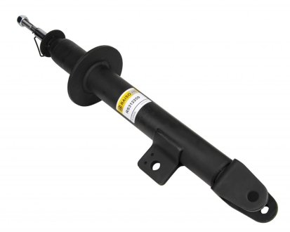 Амортизатор передний. Chrysler 300C 04-12 RAISO RS312259